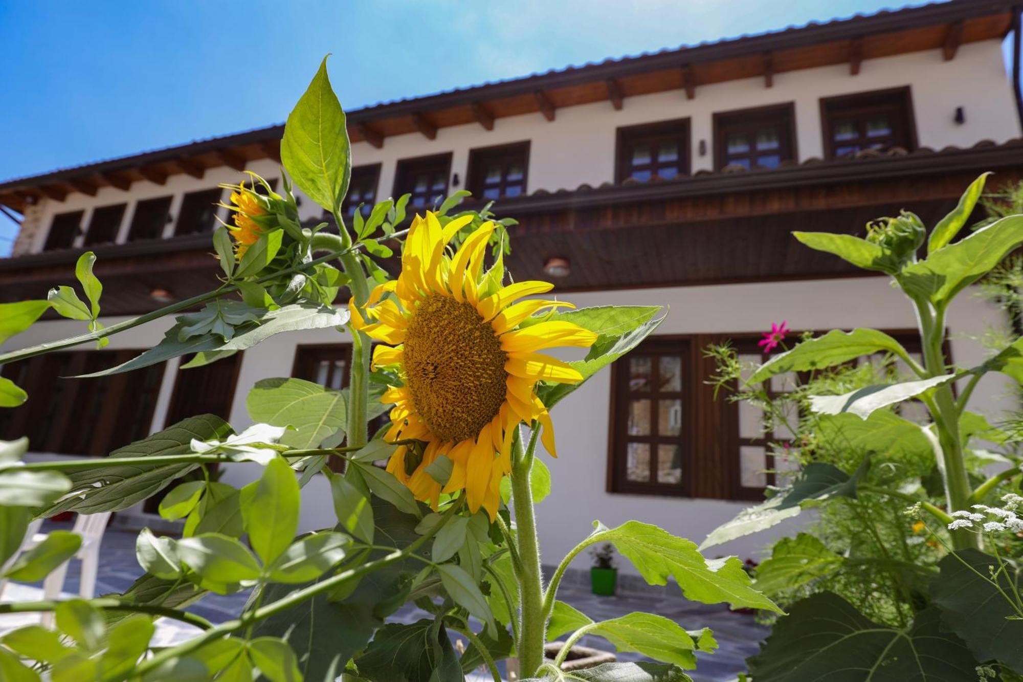 The House Of Dollma , Inside Kruja Castle Hotel Exterior photo